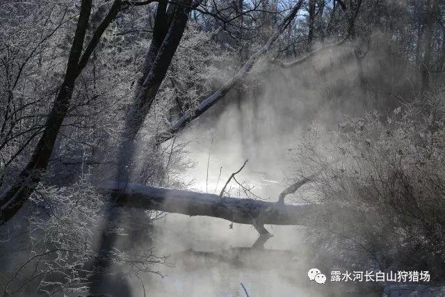 超可爱小精灵